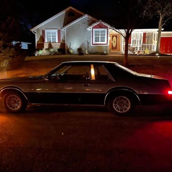 Meet your Posher, Michael - Picture 1 of 1